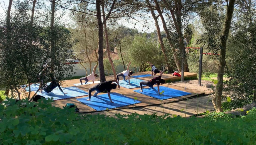 ginastica_natural_session_forest_sintra_cascais
