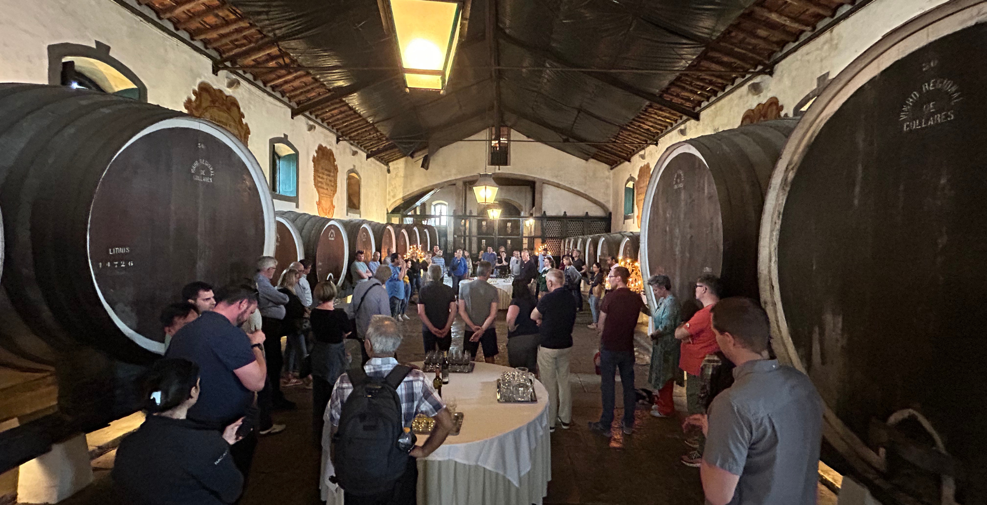 Winery tour in Sintra
