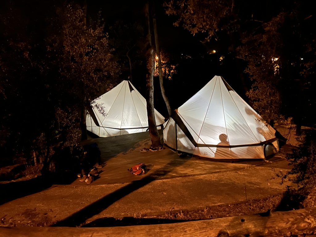 Kids into the Wild