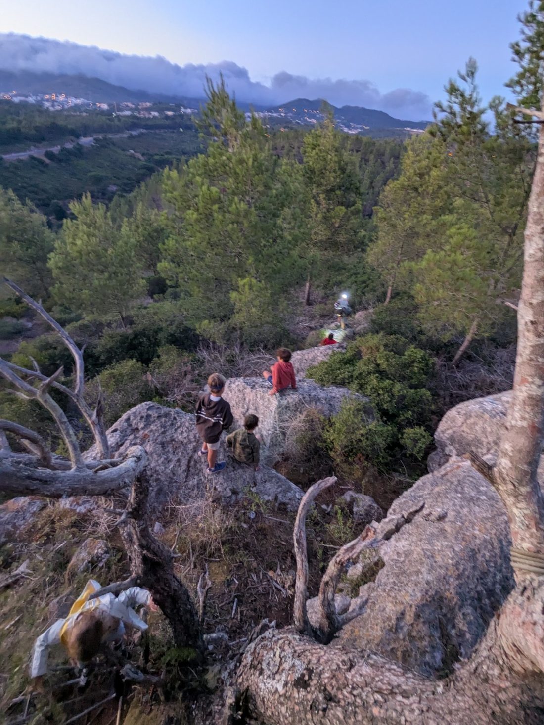 Younger students hiking a shaded forest trail in the Sintra hills, day-packs on, spread along the path