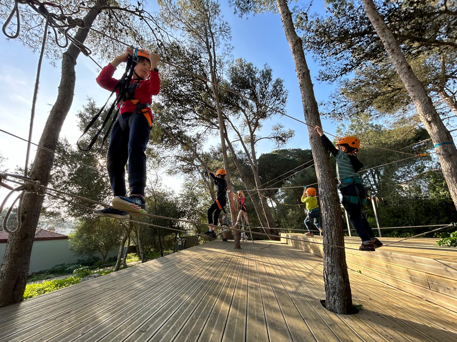 Tree-top adventure circuit in the Sintra forest